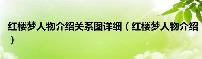 红楼梦人物介绍(红楼梦人物介绍关系图详细)