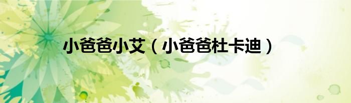 小爸爸杜卡迪(小爸爸小艾)