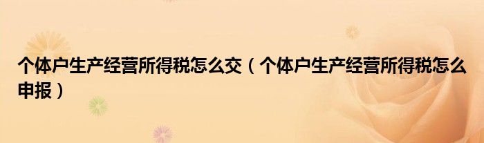 个体户生产经营所得税怎么申报(个体户生产经营所得税怎么交)