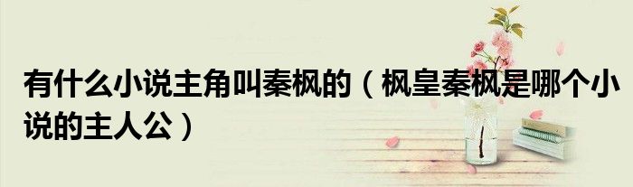 枫皇秦枫是哪个小说的主人公(有什么小说主角叫秦枫的)