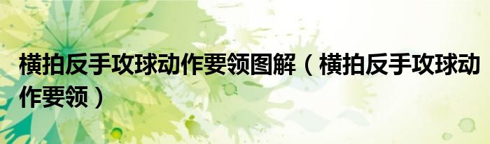 横拍反手攻球动作要领(横拍反手攻球动作要领图解)