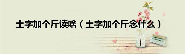 土字加个斤念什么(土字加个斤读啥)