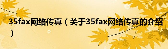 关于35fax网络传真的介绍(35fax网络传真)
