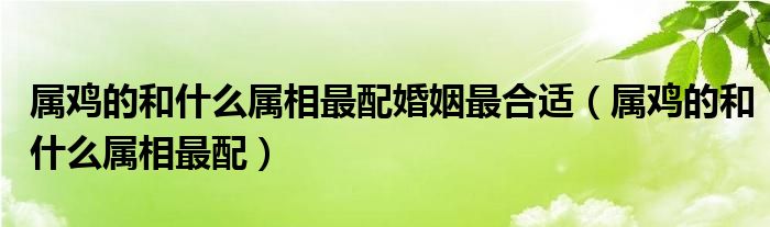 属鸡的和什么属相最配(属鸡的和什么属相最配婚姻最合适)