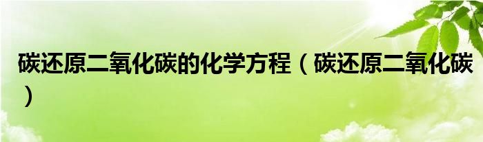 碳还原二氧化碳(碳还原二氧化碳的化学方程)