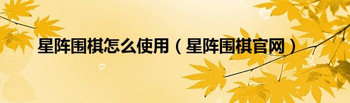 星阵围棋官网(星阵围棋怎么使用)