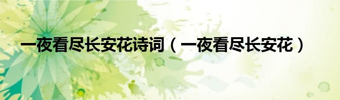 一夜看尽长安花(一夜看尽长安花诗词)