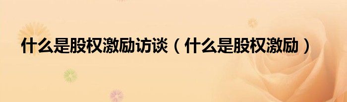什么是股权激励(什么是股权激励访谈)