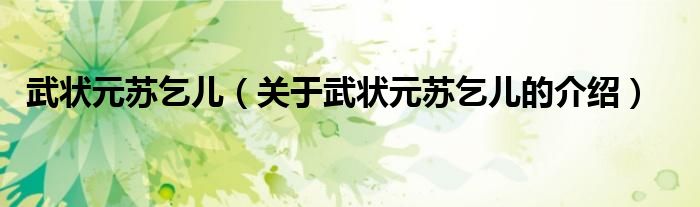 关于武状元苏乞儿的介绍(武状元苏乞儿)