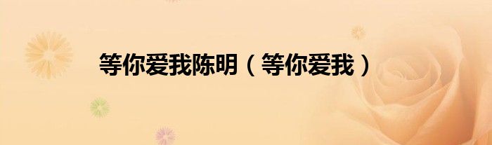 等你爱我(等你爱我陈明)