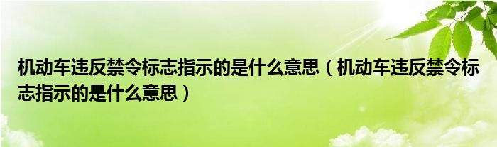 机动车违反禁令标志指示的是什么意思(机动车违反禁令标志指示的是什么意思)