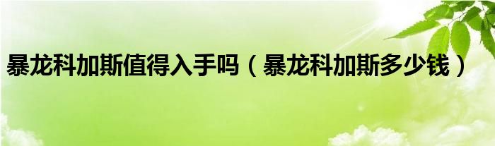 暴龙科加斯多少钱(暴龙科加斯值得入手吗)