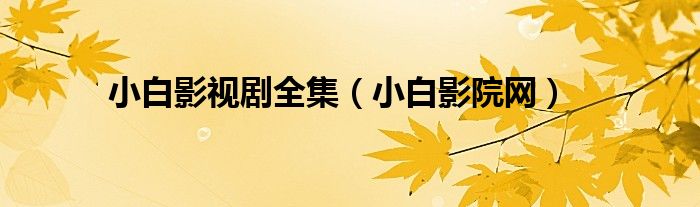 小白影院网(小白影视剧全集)