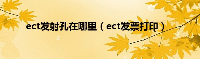 ect发票打印(ect发射孔在哪里)