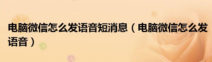 电脑微信怎么发语音(电脑微信怎么发语音短消息)