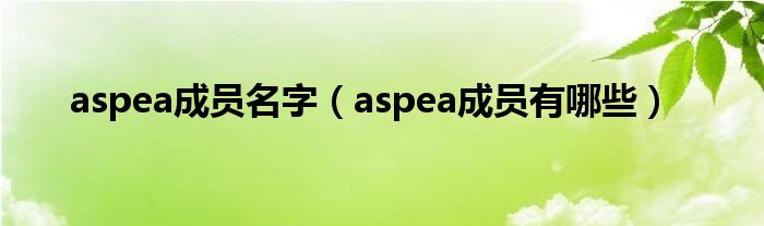 aspea成员有哪些(aspea成员名字)