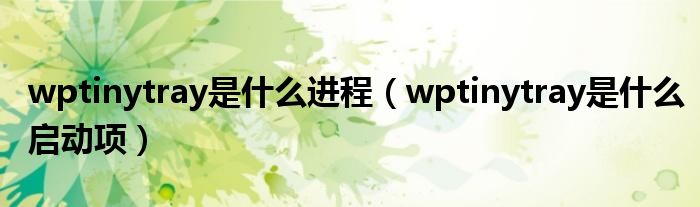 wptinytray是什么启动项(wptinytray是什么进程)