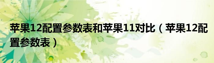 苹果12配置参数表(苹果12配置参数表和苹果11对比)