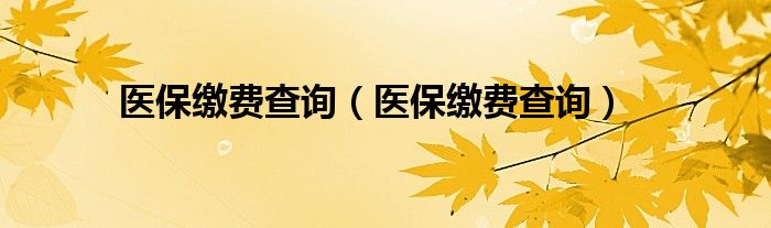 医保缴费查询(医保缴费查询)