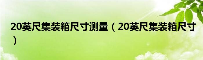 20英尺集装箱尺寸(20英尺集装箱尺寸测量)