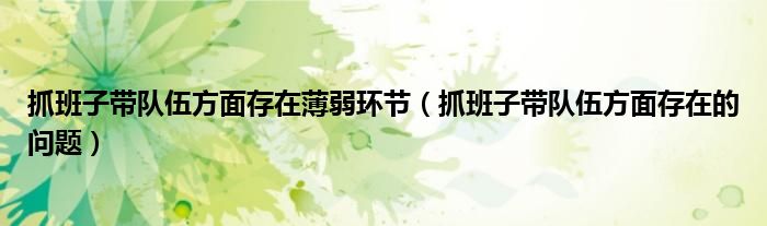 抓班子带队伍方面存在的问题(抓班子带队伍方面存在薄弱环节)