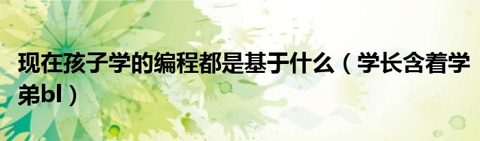 学长含着学弟bl(现在孩子学的编程都是基于什么)