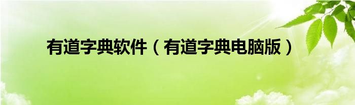 有道字典电脑版(有道字典软件)