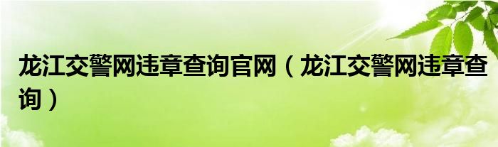 龙江交警网违章查询(龙江交警网违章查询官网)