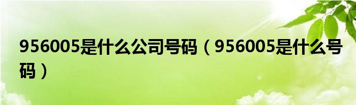 956005是什么号码(956005是什么公司号码)