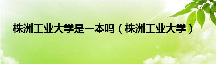 株洲工业大学(株洲工业大学是一本吗)