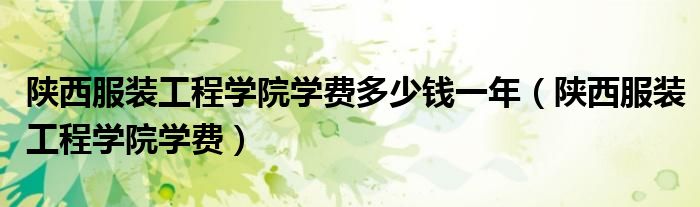 陕西服装工程学院学费(陕西服装工程学院学费多少钱一年)
