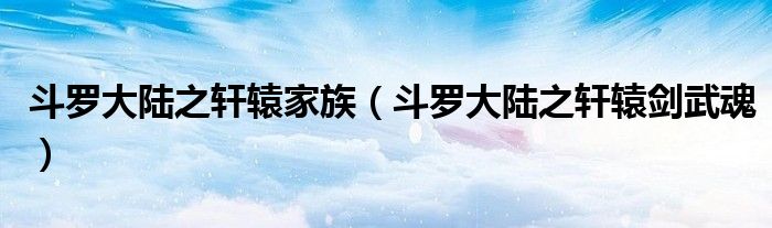斗罗大陆之轩辕剑武魂(斗罗大陆之轩辕家族)