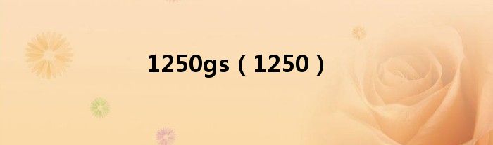 1250(1250gs)
