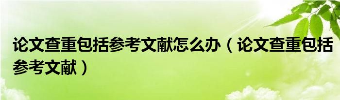 论文查重包括参考文献(论文查重包括参考文献怎么办)