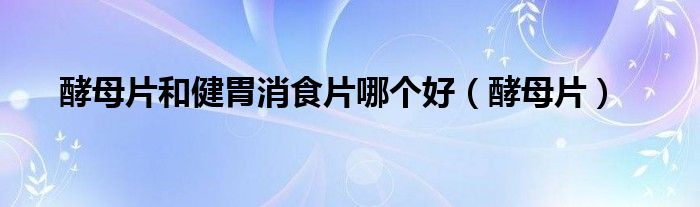 酵母片(酵母片和健胃消食片哪个好)