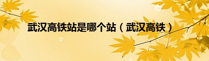 武汉高铁(武汉高铁站是哪个站)