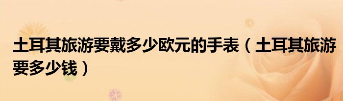 土耳其旅游要多少钱(土耳其旅游要戴多少欧元的手表)
