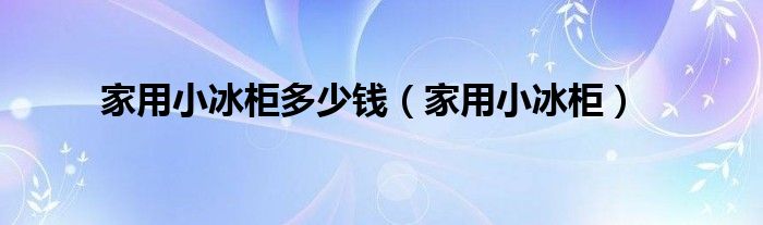 家用小冰柜(家用小冰柜多少钱)