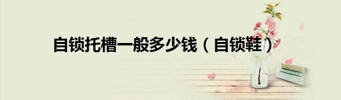 自锁鞋(自锁托槽一般多少钱)