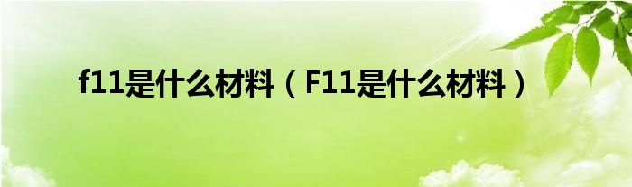 F11是什么材料(f11是什么材料)