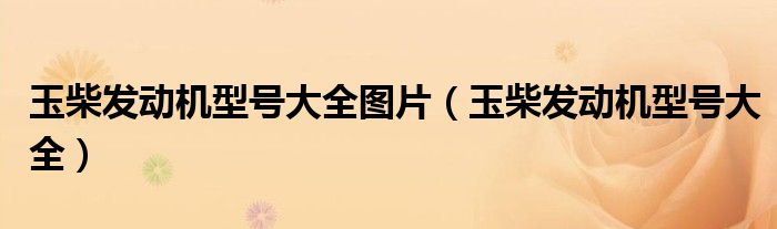 玉柴发动机型号大全(玉柴发动机型号大全图片)