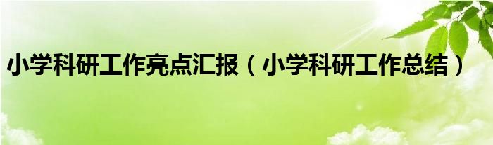 小学科研工作总结(小学科研工作亮点汇报)