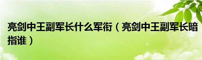 亮剑中王副军长暗指谁(亮剑中王副军长什么军衔)