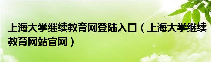上海大学继续教育网站官网(上海大学继续教育网登陆入口)