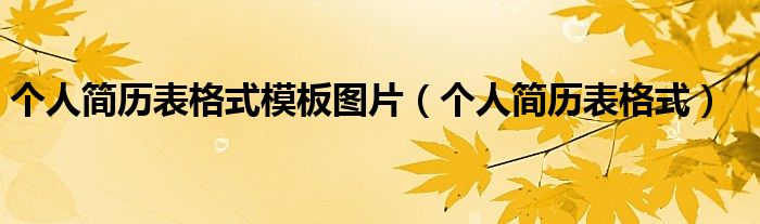 个人简历表格式(个人简历表格式模板图片)