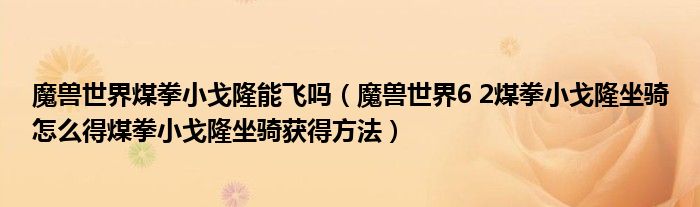 魔兽世界6 2煤拳小戈隆坐骑怎么得煤拳小戈隆坐骑获得方法(魔兽世界煤拳小戈隆能飞吗)