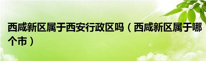西咸新区属于哪个市(西咸新区属于西安行政区吗)