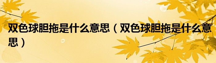 双色球胆拖是什么意思(双色球胆拖是什么意思)