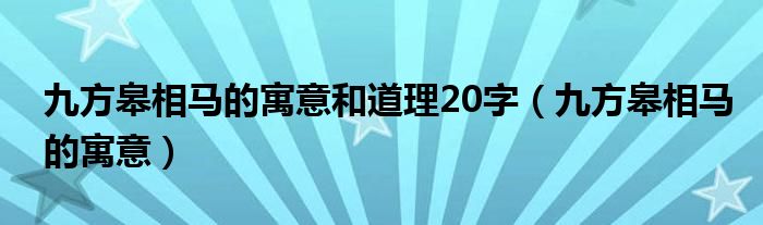 九方皋相马的寓意(九方皋相马的寓意和道理20字)