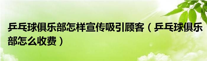乒乓球俱乐部怎么收费(乒乓球俱乐部怎样宣传吸引顾客)